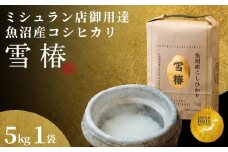 【2025年産新米】最高級魚沼産コシヒカリ「雪椿」5kg (5kg×1袋)  特別栽培米