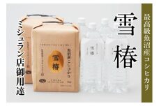 【2025年産新米】【至高セット】最高級魚沼産コシヒカリ「雪椿」魚沼のおいしいお水「雪椿」（5kg×2袋・2L×4本） 特別栽培米
