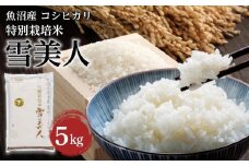 【令和7年産新米予約】魚沼産コシヒカリ特別栽培米「雪美人」5kg