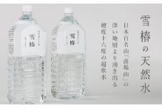 雪椿の天然水 2L×6本