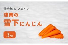 【令和8年産先行予約】津南の雪下にんじん 3kg 新潟県 津南町