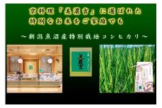 魚沼津張屋 特別栽培津南認証米魚沼産コシヒカリ 5kg