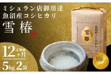 【2025年産新米】【12ヶ月定期便】最高級魚沼産コシヒカリ「雪椿」10kg (5kg×2袋)  特別栽培米