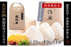 【2025年産新米】県認証米魚沼産コシヒカリ 10kg 産地限定！農家直送