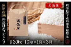 【2025年産新米】【3ヶ月定期便】合計30kg 10kg×3回 特栽魚沼産コシヒカリ