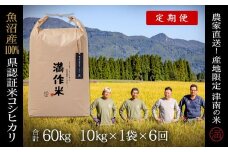 【2025年産新米】【6ヶ月定期便】合計60kg 10kg×6回 特栽魚沼産コシヒカリ