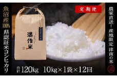 【2025年産新米】【12ヶ月定期便】合計120kg 10kg×12回 特栽魚沼産コシヒカリ