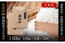 【2025年産新米】【3ヶ月定期便】合計60kg 20kg×3回 特栽魚沼産コシヒカリ