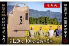【2025年産新米】【6ヶ月定期便】合計120kg 20kg×6回 特栽魚沼産コシヒカリ