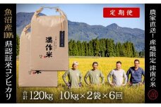 【2025年産新米】【6ヶ月定期便】合計120kg 20kg×6回 特栽魚沼産コシヒカリ