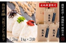 【2025年産新米】元祖魚沼産従来コシヒカリ 3kg 産地限定！農家直送