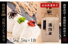 【2025年産新米】元祖魚沼産従来コシヒカリ 5kg 産地限定！農家直送