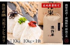 【2025年産新米】元祖魚沼産従来コシヒカリ 10kg 産地限定！農家直送