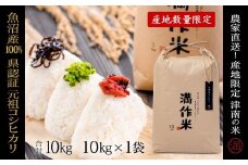 【2025年産新米】【県認証】元祖魚沼産従来コシヒカリ 10kg×1袋