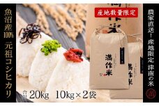 【2025年産新米】元祖魚沼産従来コシヒカリ 20kg 産地限定！農家直送