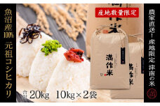 【2025年産新米】元祖魚沼産従来コシヒカリ 20kg(10kg×2袋) 産地限定！農家直送