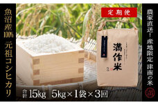 【2025年産新米】【3ヶ月定期便】合計15kg 5kg×3回 元祖魚沼産コシヒカリ