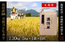 【2025年産新米】【6ヶ月定期便】合計30kg 5kg×6回 元祖魚沼産コシヒカリ