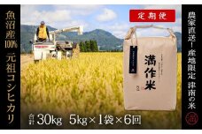 【2025年産新米】【6ヶ月定期便】合計30kg 5kg×6回 元祖魚沼産コシヒカリ