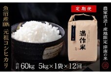 【2025年産新米】【12ヶ月定期便】合計60kg 5kg×12回 元祖魚沼産コシヒカリ