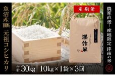 【2025年産新米】【3ヶ月定期便】合計30kg 10kg×3回 元祖魚沼産コシヒカリ