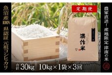 【2025年産新米】【3ヶ月定期便】合計30kg(10kg×3回)【県認証】元祖魚沼産コシヒカリ