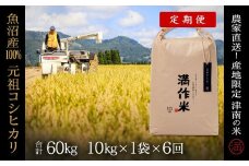 【2025年産新米】【6ヶ月定期便】合計60kg 10kg×6回 元祖魚沼産コシヒカリ