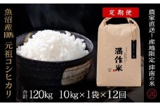 【2025年産新米】【12ヶ月定期便】合計120kg 10kg×12回 元祖魚沼産コシヒカリ