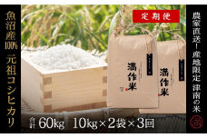 【2025年産新米】【3ヶ月定期便】合計60kg 20kg×3回 元祖魚沼産コシヒカリ