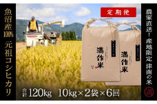 【2025年産新米】【6ヶ月定期便】合計120kg 20kg×6回 元祖魚沼産コシヒカリ