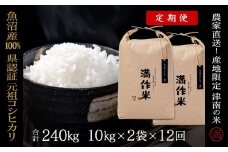 【2025年産新米】【12ヶ月定期便】合計240kg(20kg×12回) 【県認証】元祖魚沼産コシヒカリ