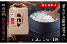 【2025年産新米】【県認証】魚沼津南産新之助 5kg(5kg×1袋) 産地限定！農家直送