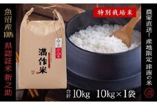【2025年産新米】【県認証】魚沼津南産新之助 10kg 産地限定！農家直送