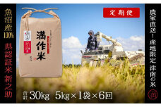 【2025年産新米】【6ヶ月定期便】合計30kg（5kg×6回） 県認証 魚沼産新之助