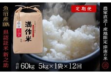 【2025年産新米】【12ヶ月定期便】合計60kg（5kg×12回） 県認証 魚沼産新之助