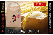 【2025年産新米】【3ヶ月定期便】合計30kg（10kg×3回） 県認証 魚沼産新之助