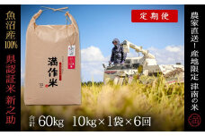 【2025年産新米】【6ヶ月定期便】合計60kg（10kg×6回） 県認証 魚沼産新之助