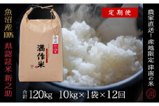 【2025年産新米】【12ヶ月定期便】合計120kg（10kg×12回） 県認証 魚沼産新之助
