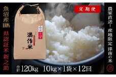 【2025年産新米】【12ヶ月定期便】合計120kg（10kg×12回） 県認証 魚沼産新之助