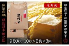 【2025年産新米】【3ヶ月定期便】合計60kg（20kg×3回） 県認証 魚沼産新之助