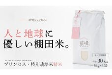 【2025年産新米】【6ヶ月定期便】【農薬化学肥料5割減】魚沼コシヒカリ 苗場プリンセス 特別栽培米 精米 5kg（5kg×1袋）計30kg