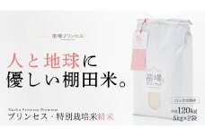 【2025年産新米】【12ヶ月定期便】【農薬化学肥料5割減】魚沼コシヒカリ 苗場プリンセス 特別栽培米 精米 10kg（5kg×2袋）計120kg