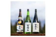 【苗場酒造】苗場山 純米吟醸・純米酒・本醸造 一升瓶セット