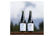 日本酒 飲み比べセット 720ml 醸す森 生酒 2種 純米大吟醸 × 1本 純米吟醸 × 1本 苗場酒造 新潟 | 清酒 お酒 酒 さけ 地酒 四合瓶 プレゼント ギフト 父の日 新潟県 津南町