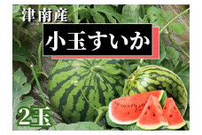 【新潟県 魚沼 津南町産】小玉スイカ 2玉
