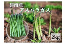 【新潟県 津南町産】朝取りアスパラガス バラ詰め（L～2Lサイズ）2kg