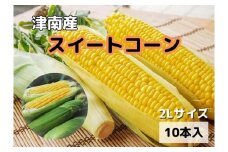 【新潟県 津南町産】朝採りスイートコーン 2Lサイズ 10本（1本約400g）