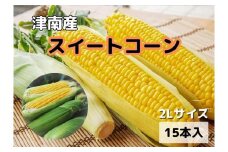 【新潟県 津南町産】朝採りスイートコーン 2Lサイズ 15本（1本約400g）