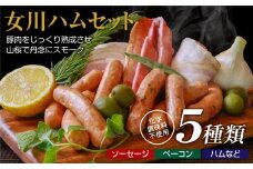 絶品女川ハム&ソーセージ!伝統の味をご家庭で【1085603】