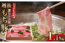 旨みたっぷり越後もち豚肩ロース しゃぶしゃぶ用1.1kg【1117860】
